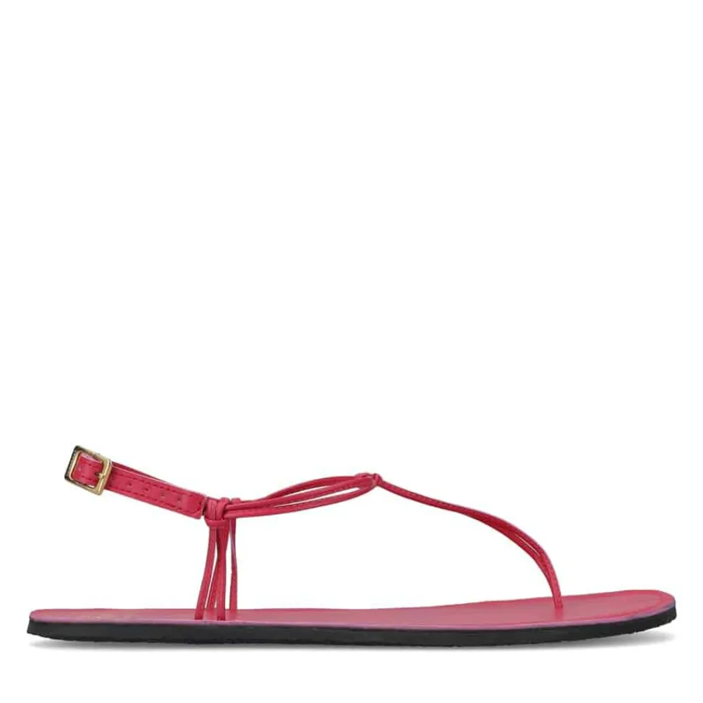 ® Amalfi Women|Groundies Clearance
